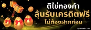 full bet